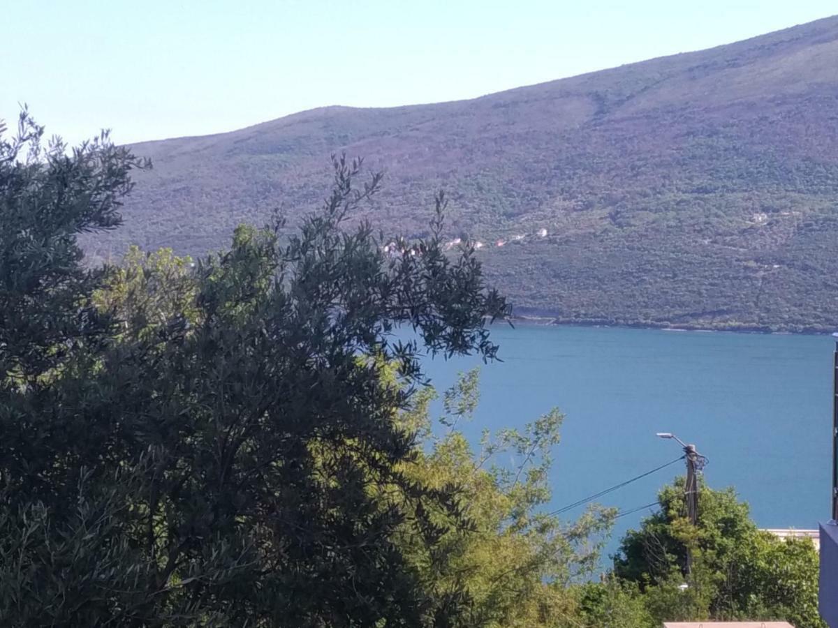 Apartments Acacia Hill Ðenovići Екстериор снимка