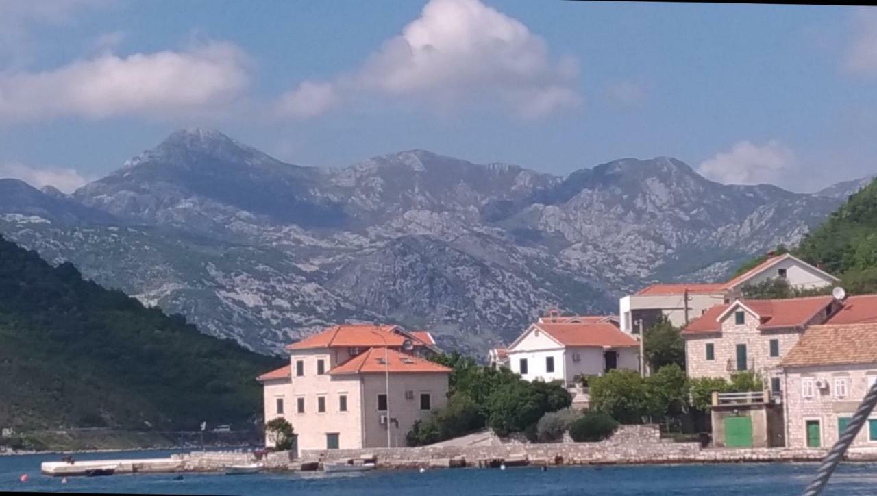Apartments Acacia Hill Ðenovići Екстериор снимка