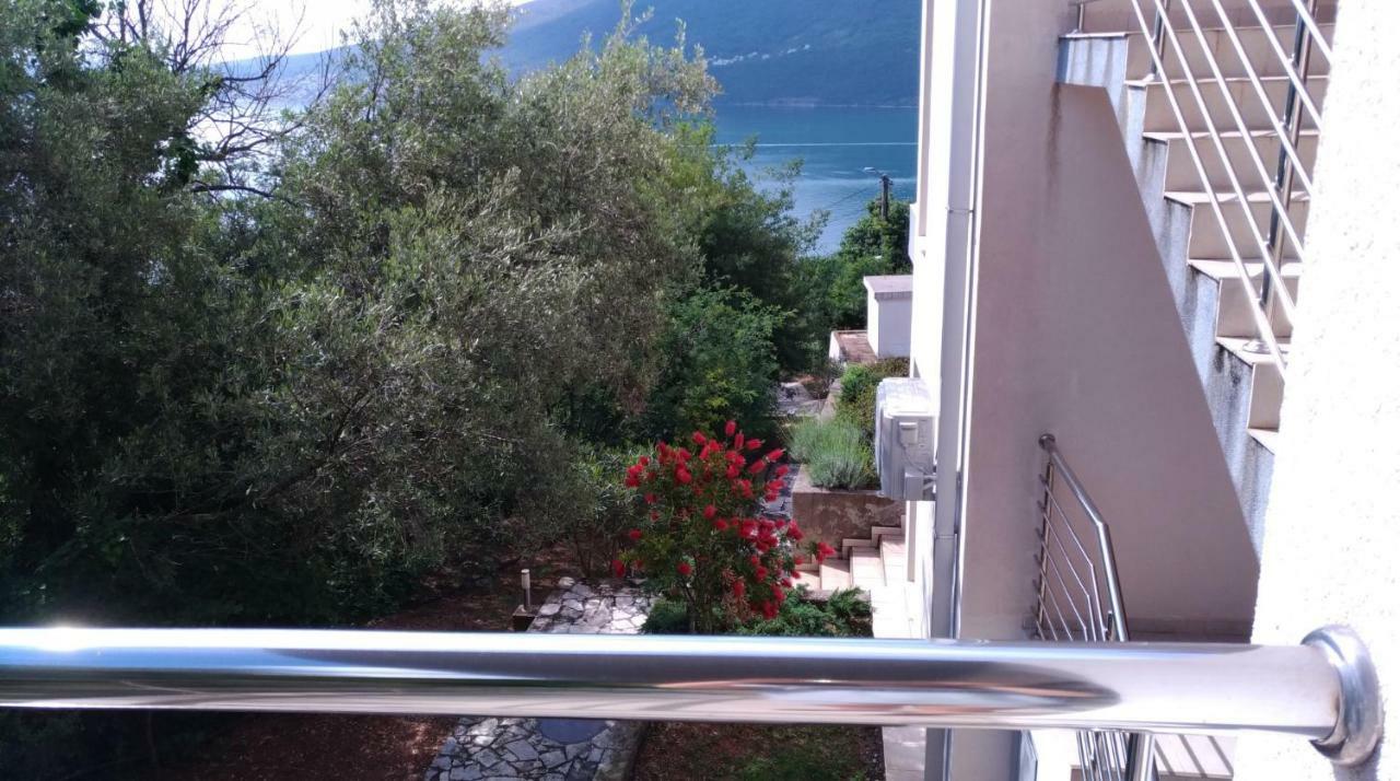 Apartments Acacia Hill Ðenovići Екстериор снимка