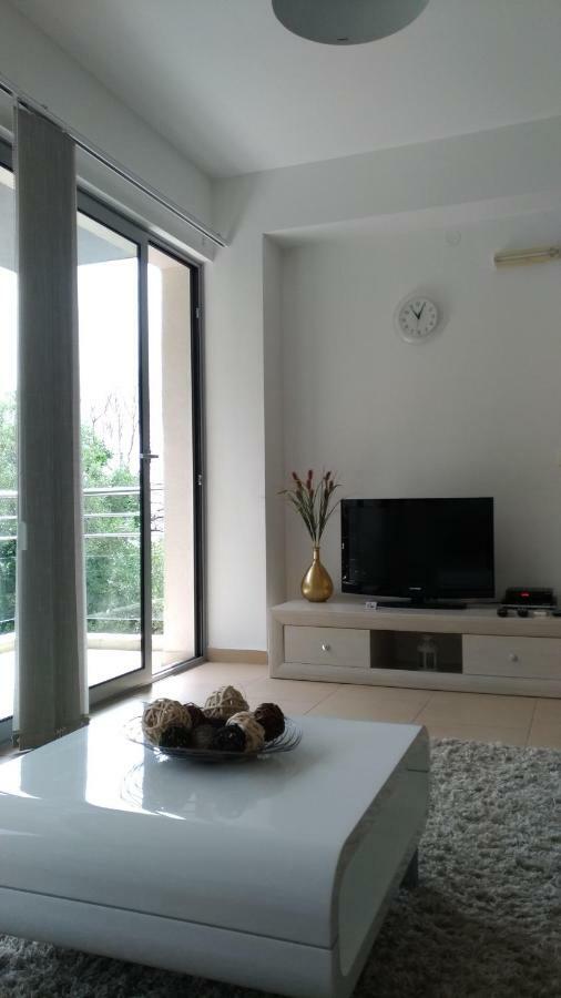 Apartments Acacia Hill Ðenovići Екстериор снимка